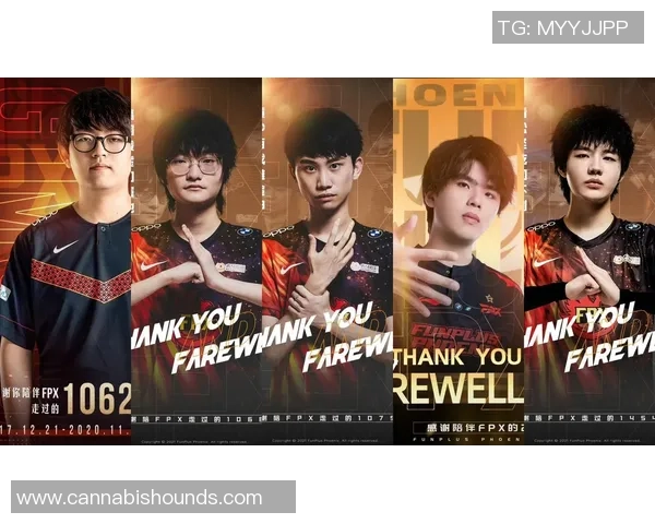 FPX战队节奏解析与战术演变探讨助力英雄联盟赛场表现提升