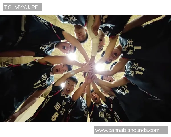 上海篮球队实力分析与未来发展潜力的深度探讨