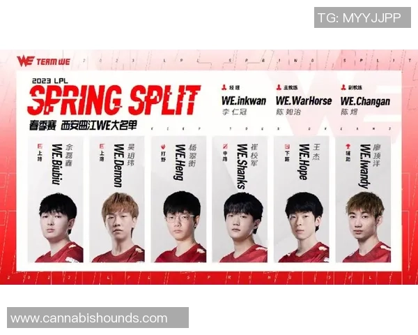 WE战队在CSGO比赛中的盯防策略分析与成败得失探讨