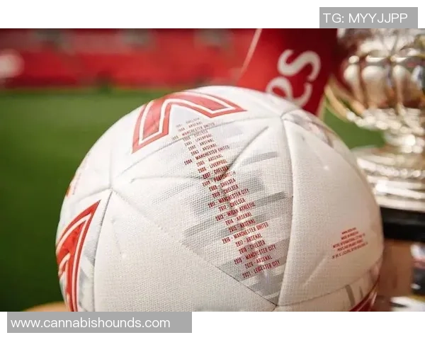 权威发布全球足球意识实力榜单揭示各国球队真实实力与潜力